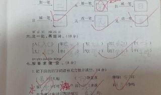 木字加一笔有多少字 木字加一笔有24个字