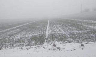 冬天下雨天打雷有什么征兆 冬天打雷有什么说法