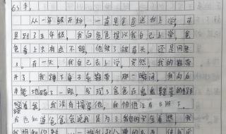 小学生四年级作文动物也是我的老师三百五十字 我的老师作文300字