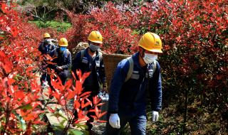 贵州毕节山火烧原因 旅客坐飞机拍下贵州山火