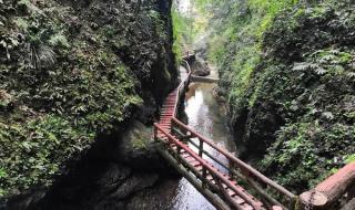 给个建议,青城山和都江堰哪个好玩 青城山都江堰一日游