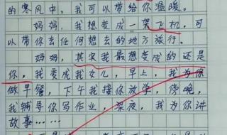 写老师技艺高超的作文50字左右 描写老师的作文