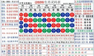 2022年几月开始进入兔年 2022年5月18日五行穿衣